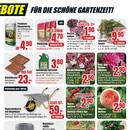 B1 Discount Baumarkt Prospekt - Obst & Gemüse