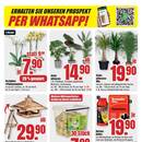 B1 Discount Baumarkt Prospekt - Blumen