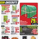 B1 Discount Baumarkt Prospekt - Blumen