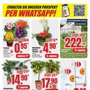 B1 Discount Baumarkt Prospekt - Blumen