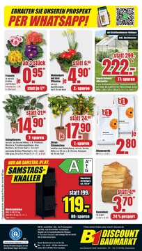 B1 Discount Baumarkt Prospekt - Angebote ab 25.01.