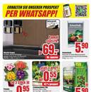 B1 Discount Baumarkt Prospekt - Blumen