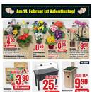 B1 Discount Baumarkt Prospekt - Blumen