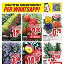 B1 Discount Baumarkt Prospekt - Obst & Gemüse