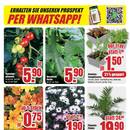B1 Discount Baumarkt Prospekt - Obst & Gemüse
