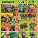 B1 Discount Baumarkt Prospekt - Obst & Gemüse