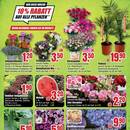 B1 Discount Baumarkt Prospekt - Obst & Gemüse
