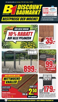B1 Discount Baumarkt Prospekt - Angebote ab 07.06.