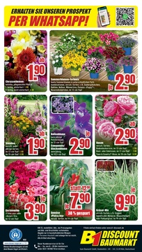 B1 Discount Baumarkt Prospekt - Angebote ab 14.06.