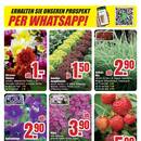 B1 Discount Baumarkt Prospekt - Obst & Gemüse