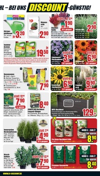 B1 Discount Baumarkt Prospekt - Angebote ab 16.08.