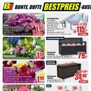B1 Discount Baumarkt Prospekt - Blumen