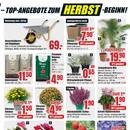 B1 Discount Baumarkt Prospekt - Blumen