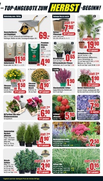 B1 Discount Baumarkt Prospekt - Angebote ab 30.08.