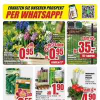 B1 Discount Baumarkt Prospekt - Blumen