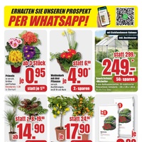 B1 Discount Baumarkt Prospekt - Blumen