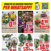 B1 Discount Baumarkt Prospekt - Blumen
