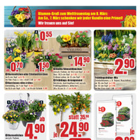 B1 Discount Baumarkt Prospekt - Blumen