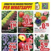 B1 Discount Baumarkt Prospekt - Blumen