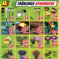 B1 Discount Baumarkt Prospekt - Blumen