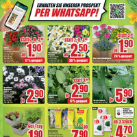 B1 Discount Baumarkt Prospekt - Obst & Gemüse