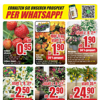 B1 Discount Baumarkt Prospekt Seite 12