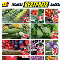 B1 Discount Baumarkt Prospekt - Obst & Gemüse