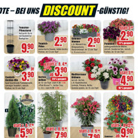 B1 Discount Baumarkt Prospekt Seite 5