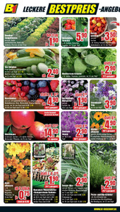 B1 Discount Baumarkt Prospekt - Bestpreise der Woche!