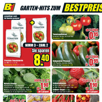 B1 Discount Baumarkt Prospekt - Obst & Gemüse