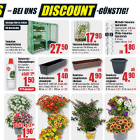 B1 Discount Baumarkt Prospekt - Blumen