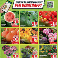 B1 Discount Baumarkt Prospekt Seite 10