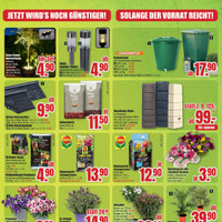 B1 Discount Baumarkt Prospekt - Blumen