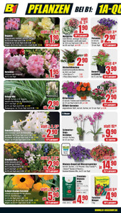 B1 Discount Baumarkt Prospekt - Bestpreise der Woche !