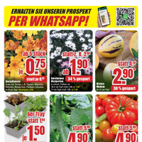 B1 Discount Baumarkt Prospekt - Obst & Gemüse
