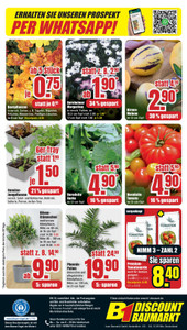 B1 Discount Baumarkt Prospekt - Bestpreise der Woche!