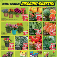 B1 Discount Baumarkt Prospekt - Obst & Gemüse