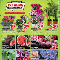B1 Discount Baumarkt Prospekt Seite 5