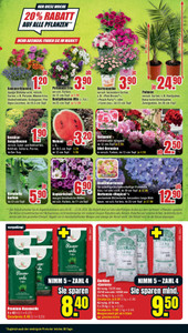 B1 Discount Baumarkt Prospekt - Angebote ab 06.06.