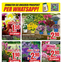 B1 Discount Baumarkt Prospekt - Blumen