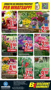 B1 Discount Baumarkt Prospekt - Bestpreise der Woche!