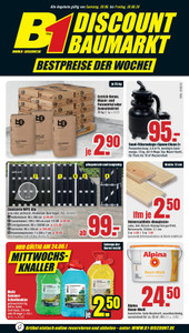 B1 Discount Baumarkt Prospekt - Angebote ab 20.06.