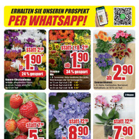 B1 Discount Baumarkt Prospekt - Blumen