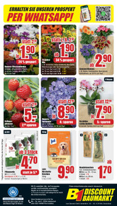 B1 Discount Baumarkt Prospekt - Bestpreise der Woche!