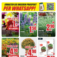B1 Discount Baumarkt Prospekt - Blumen