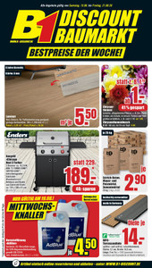 B1 Discount Baumarkt Prospekt - Bestpreise der Woche!