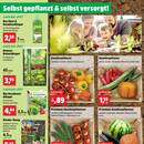 Thomas Philipps Prospekt - Obst & Gemüse