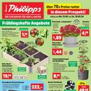 Thomas Philipps Prospekt - Obst & Gemüse