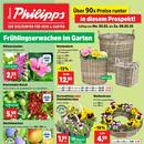 Thomas Philipps Prospekt - Blumen