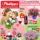 Thomas Philipps Prospekt - Blumen